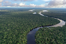 Amazonas.