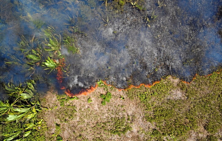 Vista aérea de un incendio forestal en la Amazonía, la zona más afectada.