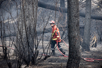 Un bombero en labores de extinción del fuego durante el incendio ocurrido a finales de julio de 2020 en La Pignada (Xiberta-Angelu)