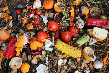El 14% de la comida producida mundialmente se despilfarra, según la FAO.
