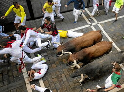 Tres toros en formación por la calle Estafeta. Abajo, el vallado del encierro está integrado por 900 postes. A la derecha, espectadores en la plaza y traslado de un herido.