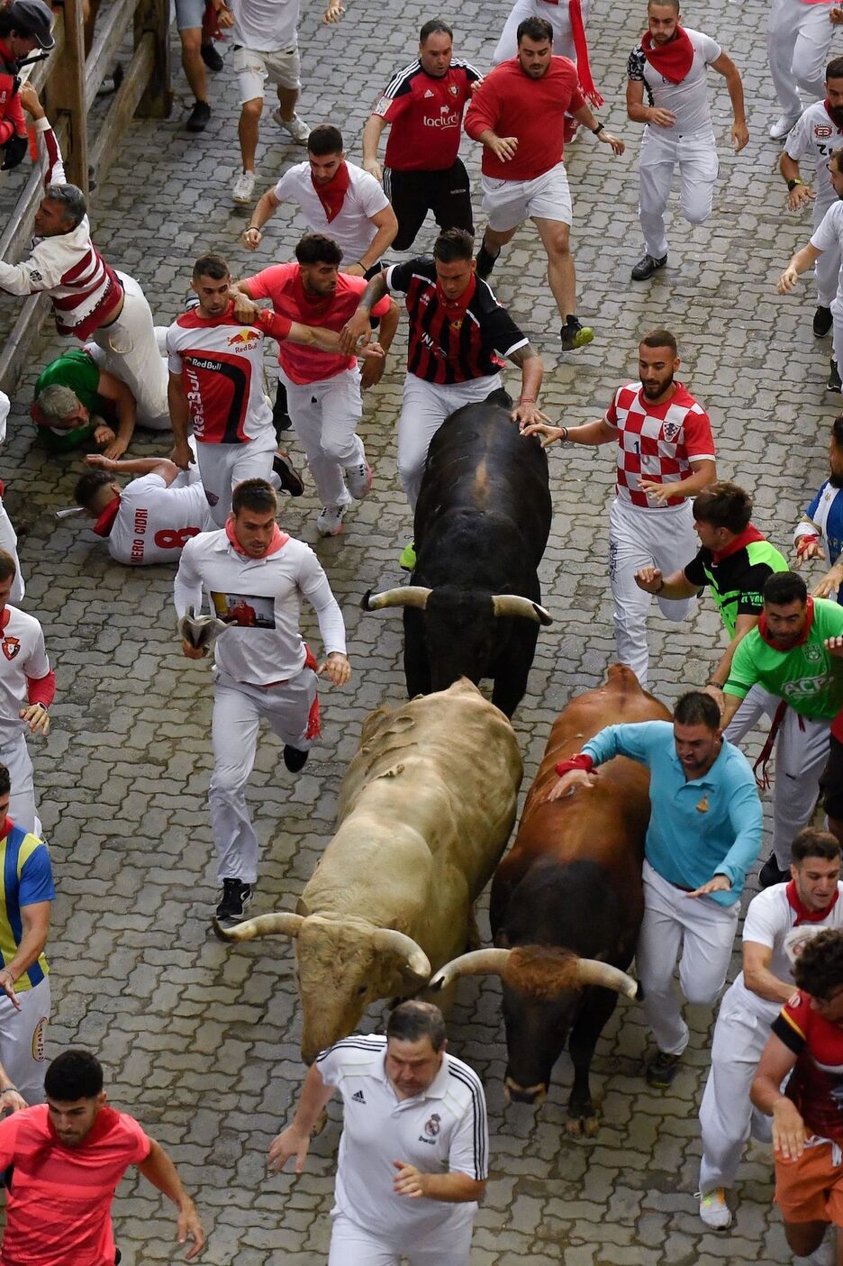 El precioso toro blanco (jabonero) que ha lucido en Iruñea.