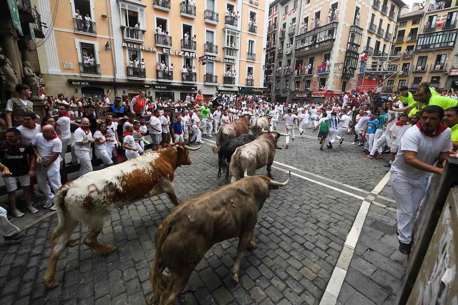 La manada cruza la plaza del Ayuntamiento.