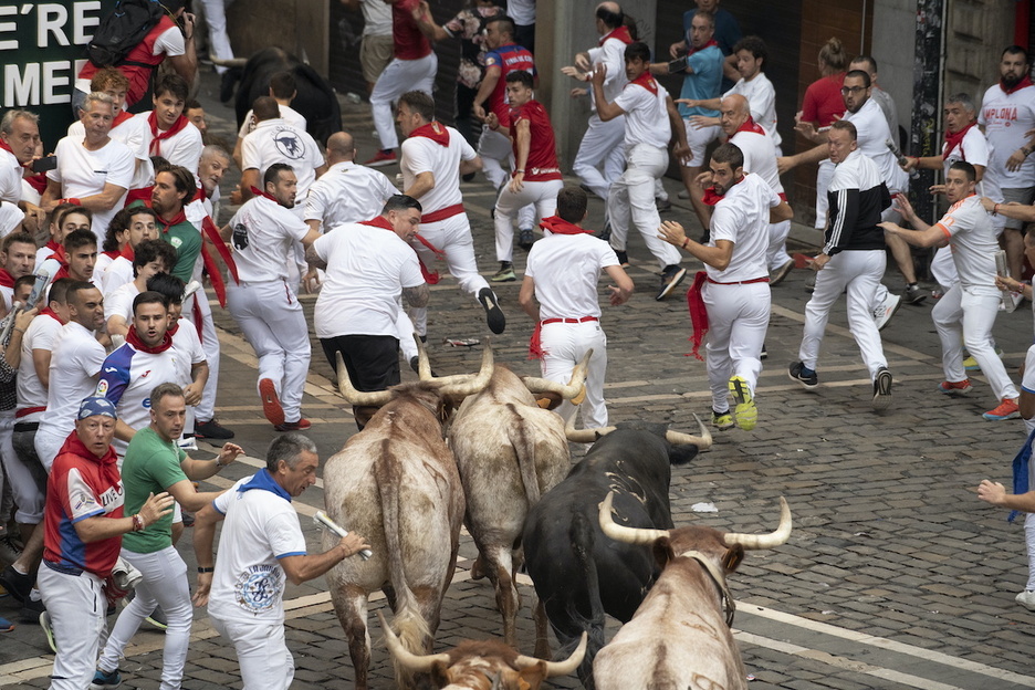 Los toros de Núñez del Cubillo se acercan a Mercaderes.
