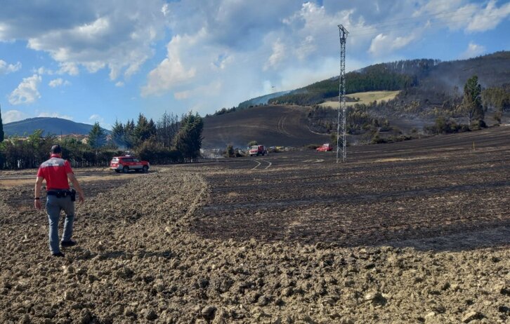 El incendio de Olloki ha devastado entre 65 y 70 hectáreas de terreno.
