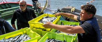 Anchoas en el puerto de Getaria, un ejemplo de producto local muy demandado.