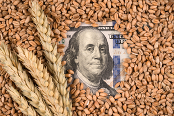 El Gobierno argentino espera recaudar 2.000 millones con un nuevo ‘dólar agro’.
