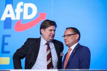 Maximilian Krah y Tino Chrupalla, líderes de AfD, en el congreso realizado en Magdeburgo este mes de julio.