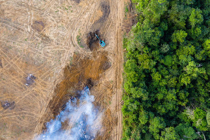 Terreno deforestado. 