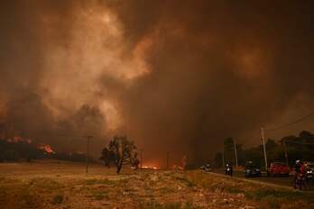 Los bomberos griegos han encontrado los cuerpos calcinados de 26 supuestos migrantes en el bosque de Dadia.