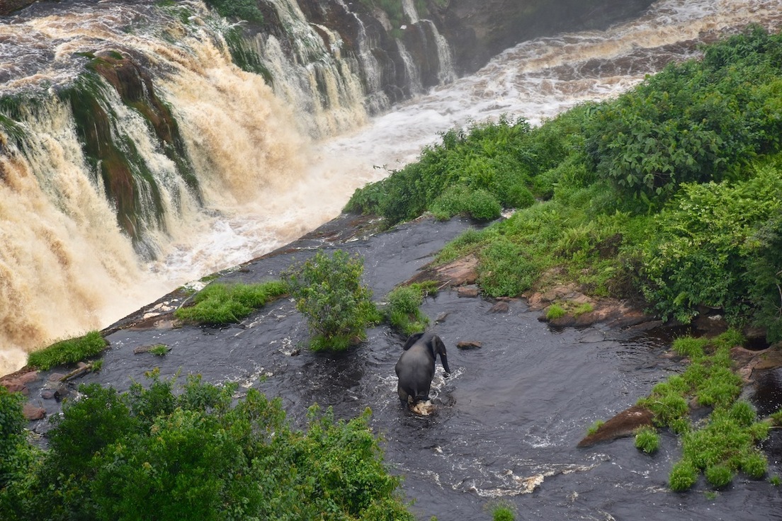 El Parque Nacional de Ivindo, en Gabón, fue declarado patrimonio natural de la humanidad en 2021.