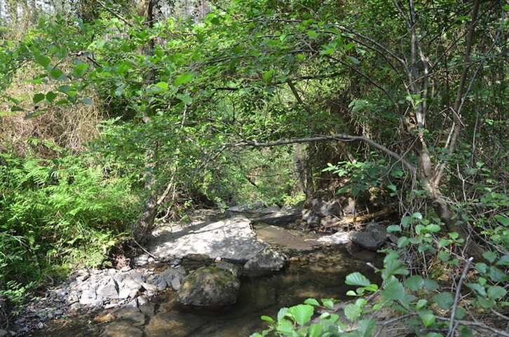 Imagen del río Castaños, donde el Ayuntamiento de Barakaldo quiere verter aguas residuales urbanas.