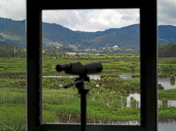 Los Astilleros de Murueta, al fondo, y las marismas, desde el Bird Center.