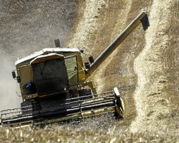 Una cosechadora trabajando en una finca de cereal.