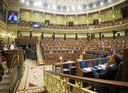 Aizpurua, durante su intervención en el Congreso.