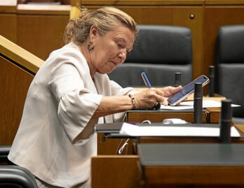 La consejera de Salud, Gotzone Sagardui, durante el pleno de ayer del Parlamento.