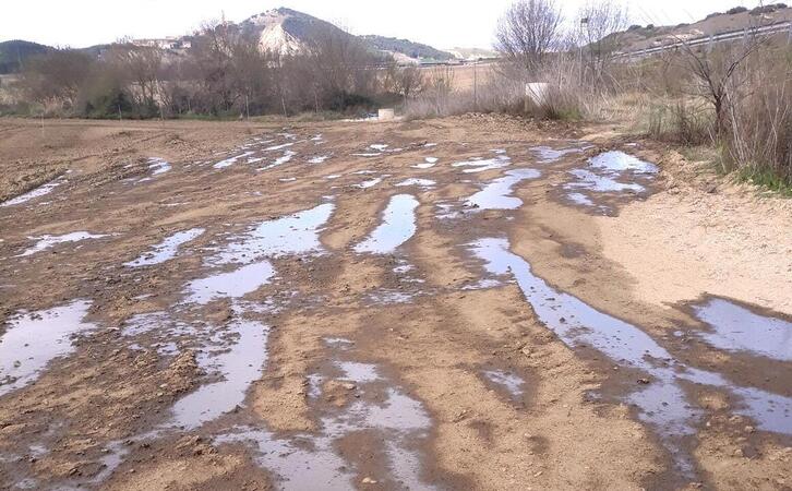 Una de las fincas sobre las que se han vertido purines. 