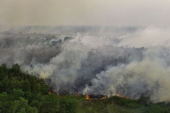 Un incendio forestal en Ogan Ilir, Sumatra del Sur, el 14 de septiembre.