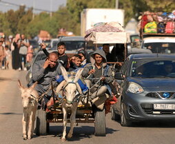 Una familia abandona la Ciudad de Gaza con lo puesto en un carro tirado por un burro.
