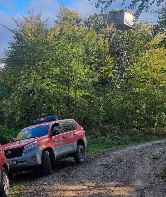 El hombre ha fallecido tras caer de esta palomera.