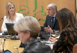 El consejero de Seguridad, Josu Erkoreka, en la presentación de su presupuesto en el Parlamento.