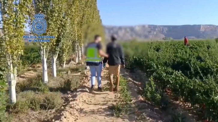 Imagen de la operación difundida por la Policía española.