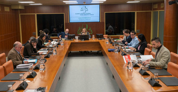 La Comisión de Trabajo y Empleo del Parlamento de Gasteiz, reunida este lunes.
