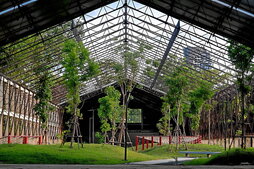 Argazkietan, Benjakitti Forest Park, Bangkok hiriko biriketako bat.