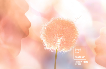 ‘Peach Fuzz’ kolorea. 