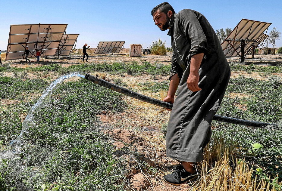 Un granjero riega con una manguera sus huertos de sandías en Hasakeh, en el noreste de Siria.