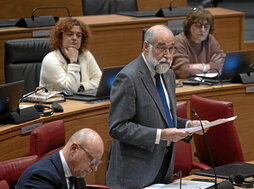 El consejero de Salud, Fernando Domínguez, durante su intervención en el pleno.