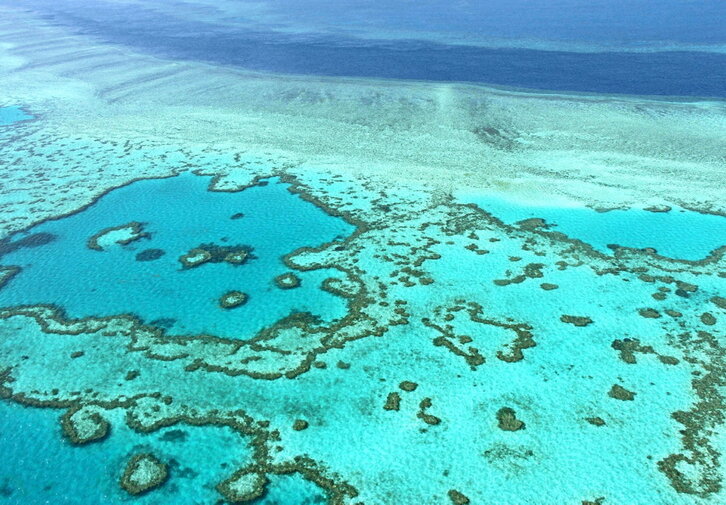 Imagen aérea de la Gran Barrera de Coral, tomada en noviembre de 2014 frente a la costa de las islas Whitsunday, al noreste de Australia.