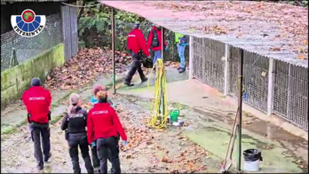 Ertzainas inspeccionan el albergue para perros y gatos.