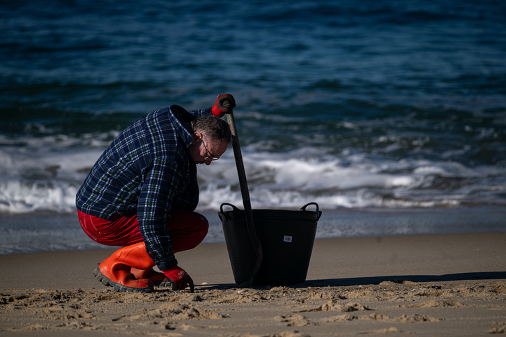 Un voluntario recoge pellets en una playa gallega.