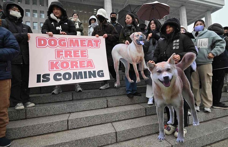 Manifestación animalista contra el consumo de carne de perro, este martes en Seúl.