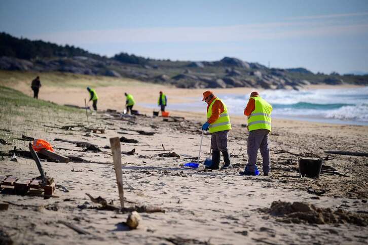 Varios voluntarios limpian de microplásticos una playa en Corrubedo, Galicia.
