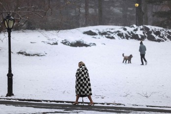Una mujer camina por un Central Park nevado, en Nueva York. 