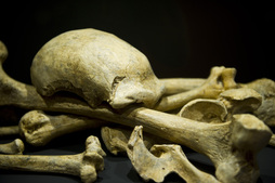 Teknologia berriek neandertalen gaineko ikerketetan emandako informazioa izango du hizpide Asier Gomez Olivencia ikertzaileak.
