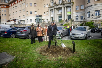 El obispo Joseba Segura ha plantado un olivo en Derio en recuerdo a las víctimas de abusos.