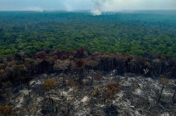 2023ko irailaren 6an Manaquiri Amazonas estatuko nekazariek legez kanpoko suteak piztu ondoren erretako zuhaitzak.