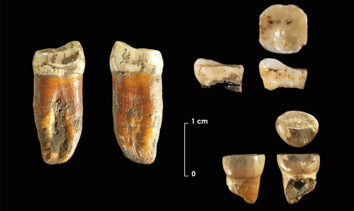 Imagen de las piezas halladas en el yacimiento de Axlor, ubicado en la localidad vizcaina de Dima.