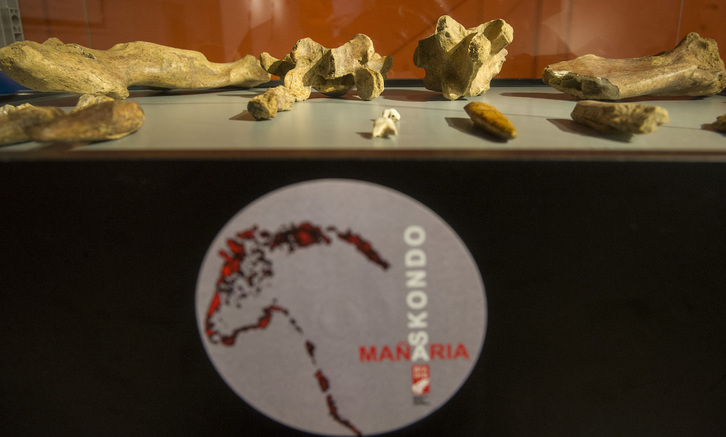 Algunas de las piezas halladas en la cueva de Askondo.
