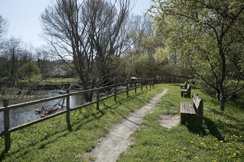 El río Arga a su paso por Iruñea, en una imagen de archivo.