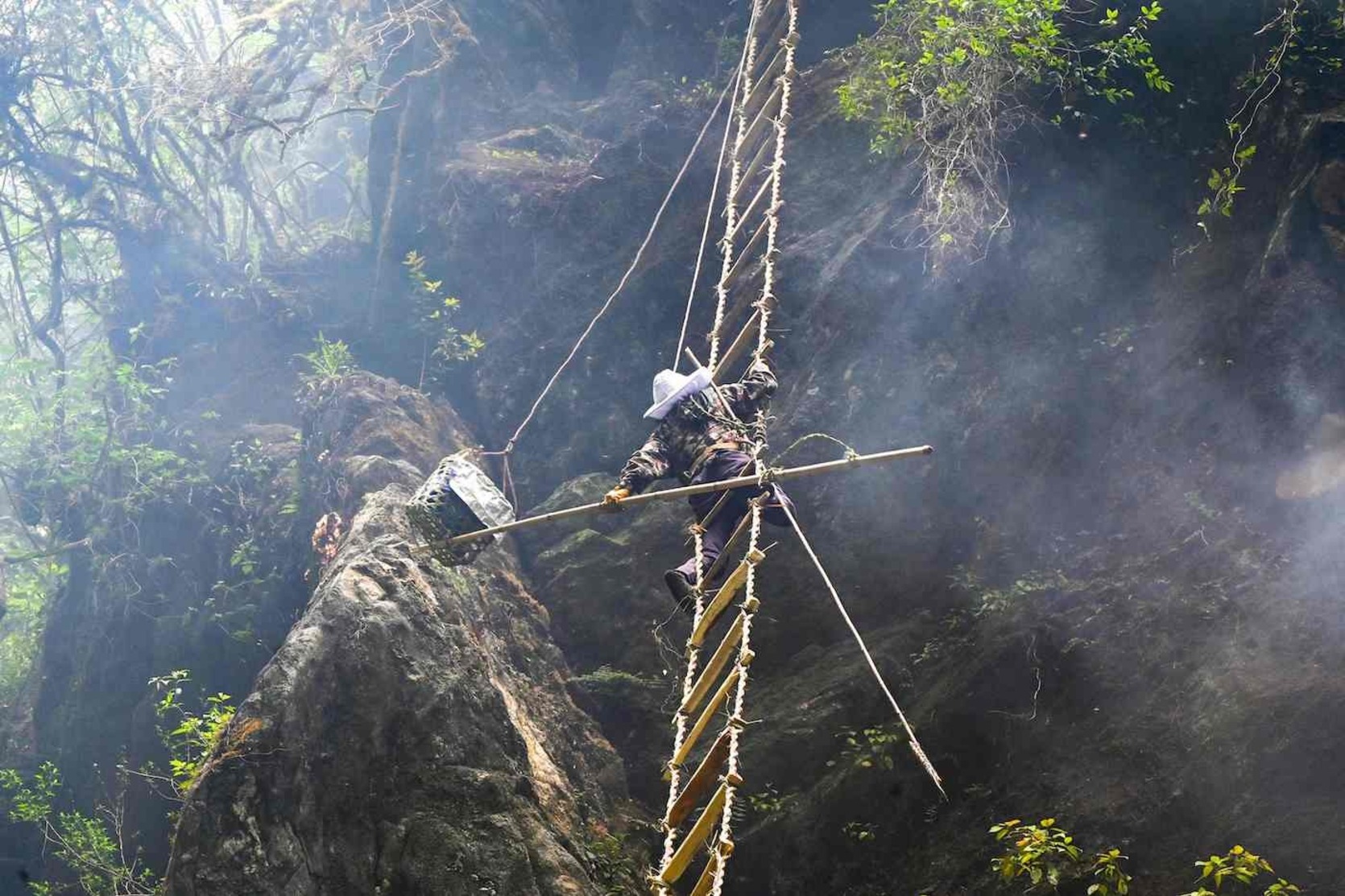 Un cazador de miel de la comunidad étnica Gurung cosecha panales en un acantilado en el distrito de Lamjung en Nepal. 