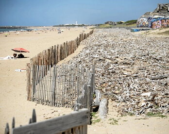 Du bois flotté recouvre désormais le pied de la dune.