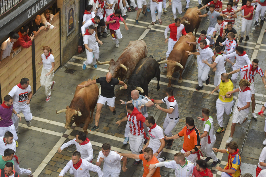 Peligrosa carrera entre la manada, en Estafeta.