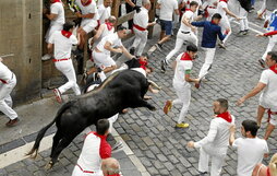 El toro más adelantado no corría, saltaba al final de Santo Domingo.