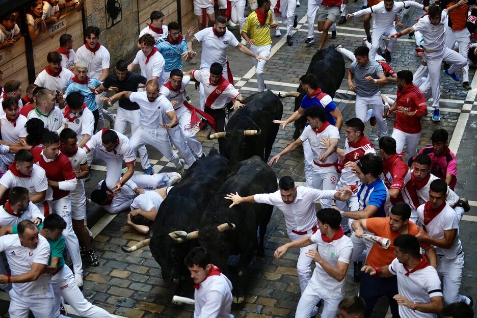 Los cuatro toros negros marchan juntos por la Estafeta.