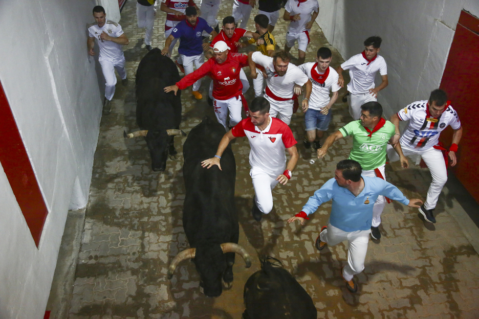 Los toros negros entran en la plaza.