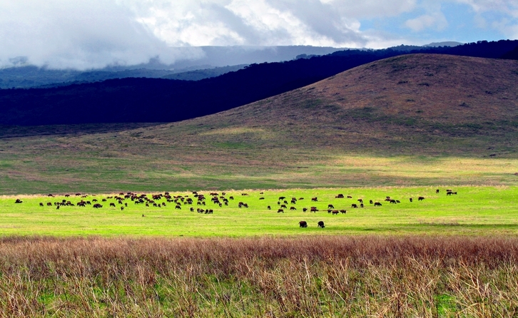Zona del cráter Ngorongoro, donde se ha producido el fatal accidente según un testigo.